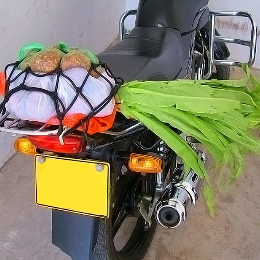 AUTONEST Universal Bungee Cargo Luggage Net Holder for Bike and