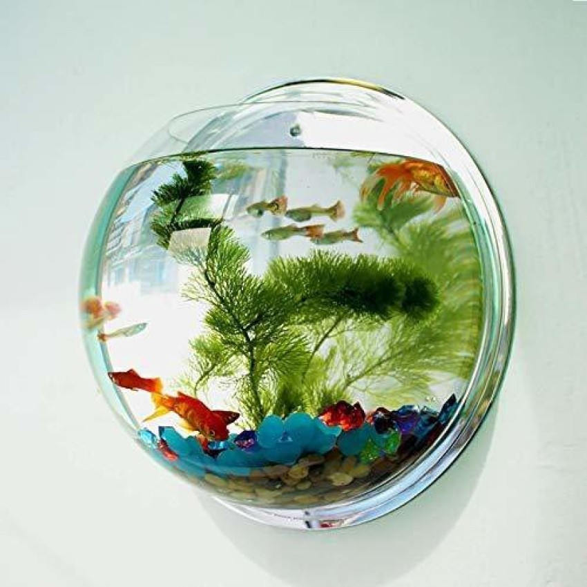 Glass Aquarium Tank,Clear Glass Fish Bowl,Thickened Glass Fish Tank,Desktop  Ecological Home Aquarium,Table Wedding Display Vase(28cm*30cm*12cm) :  : Pet Supplies