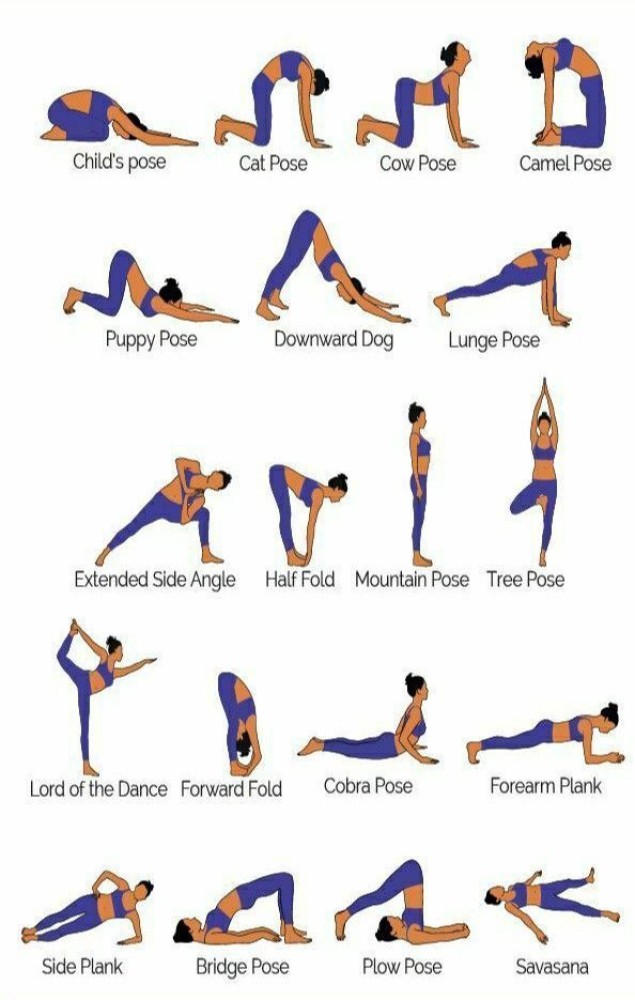 https://rukminim2.flixcart.com/image/850/1000/knt7zbk0/poster/a/c/8/large-yoga-posters-yogasana-posters-yogi-yogini-posters-wellness-original-imag2ehzwghgdcfv.jpeg?q=90&crop=false