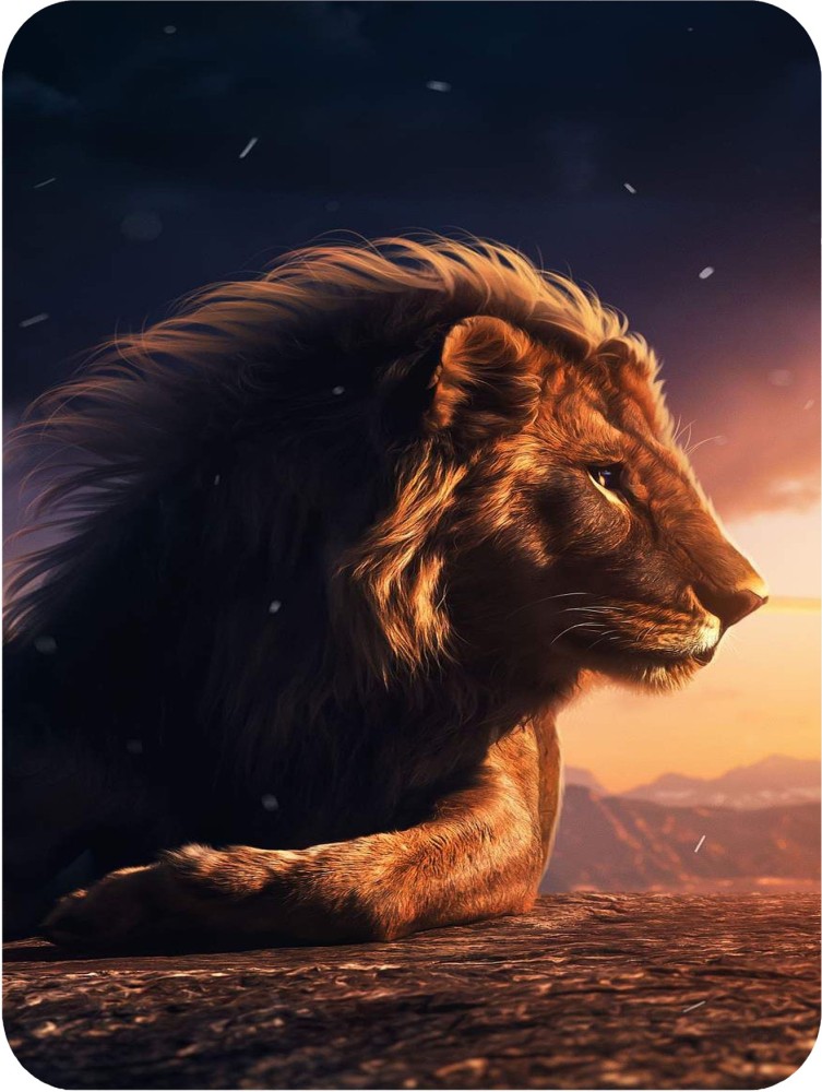 Silent Sitting Lion  4800x3600 resolution wallpaper