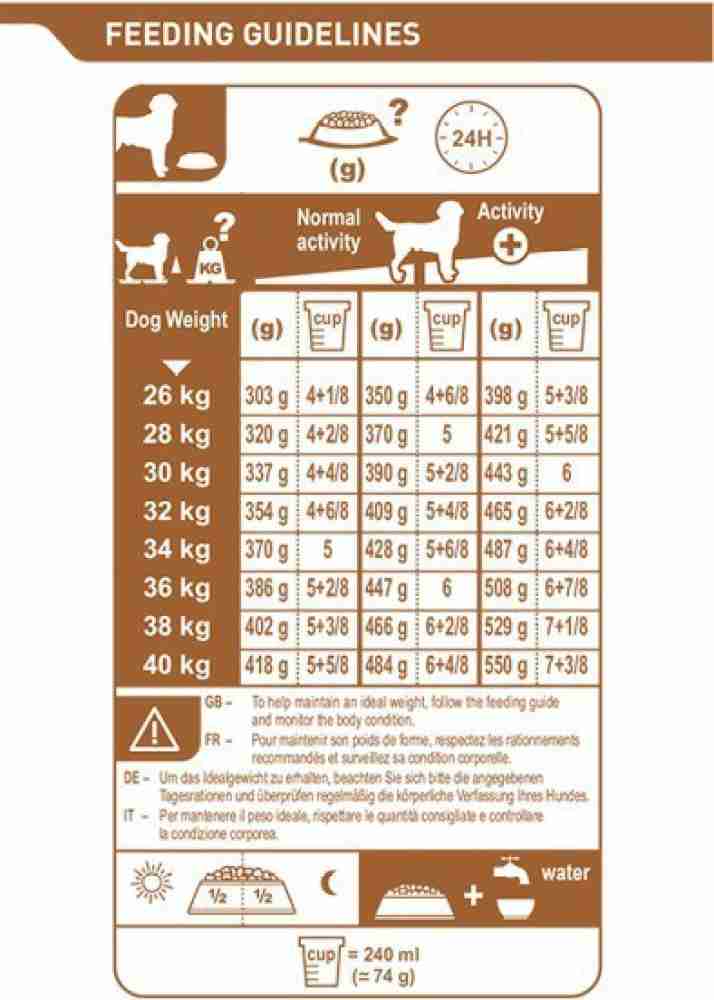 Royal canin labrador store junior feeding guide