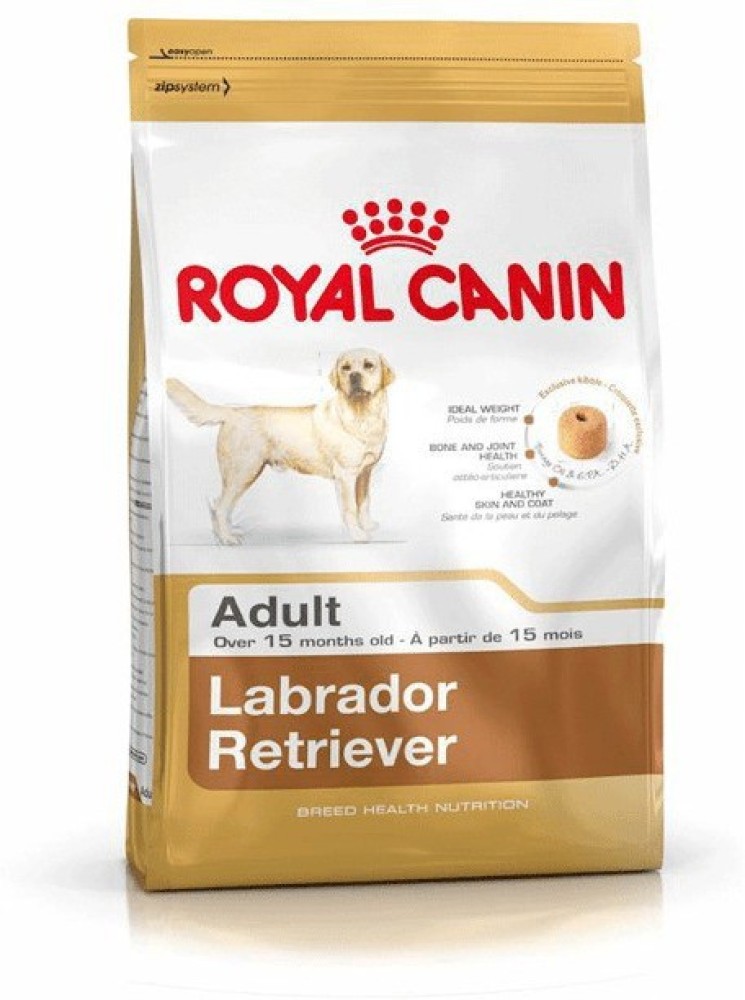 Foods shop for labrador