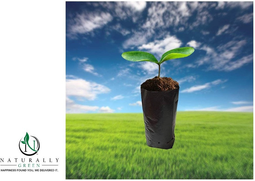 Details more than 144 grow bags delivered best 3tdesign.edu.vn