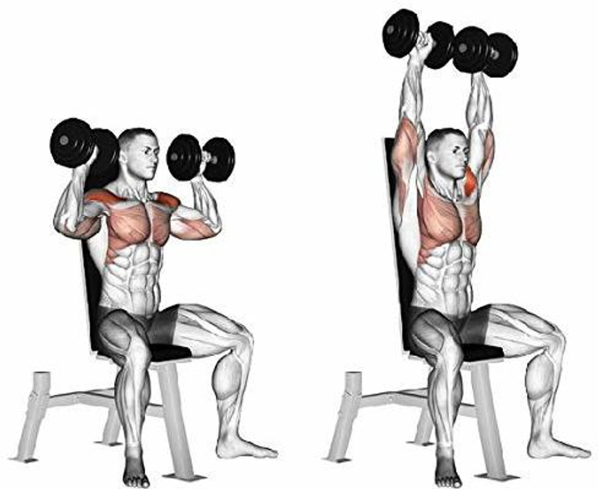 Aurion cheap gym set