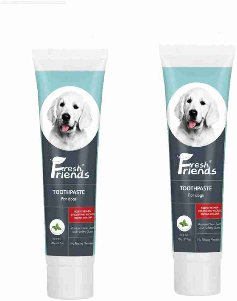 Mint shop dog toothpaste