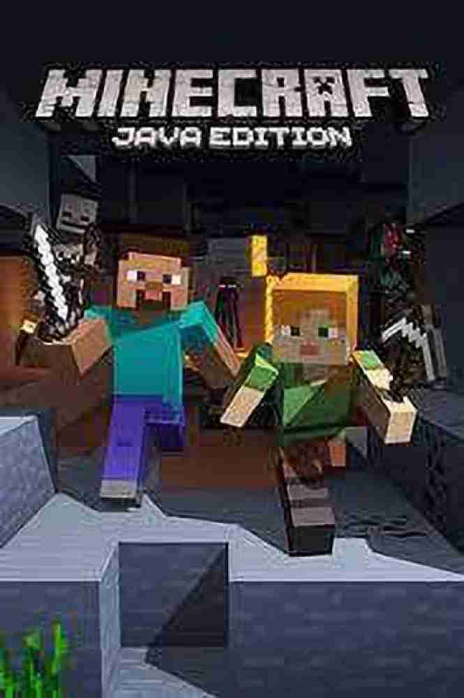 Minecraft sale store java