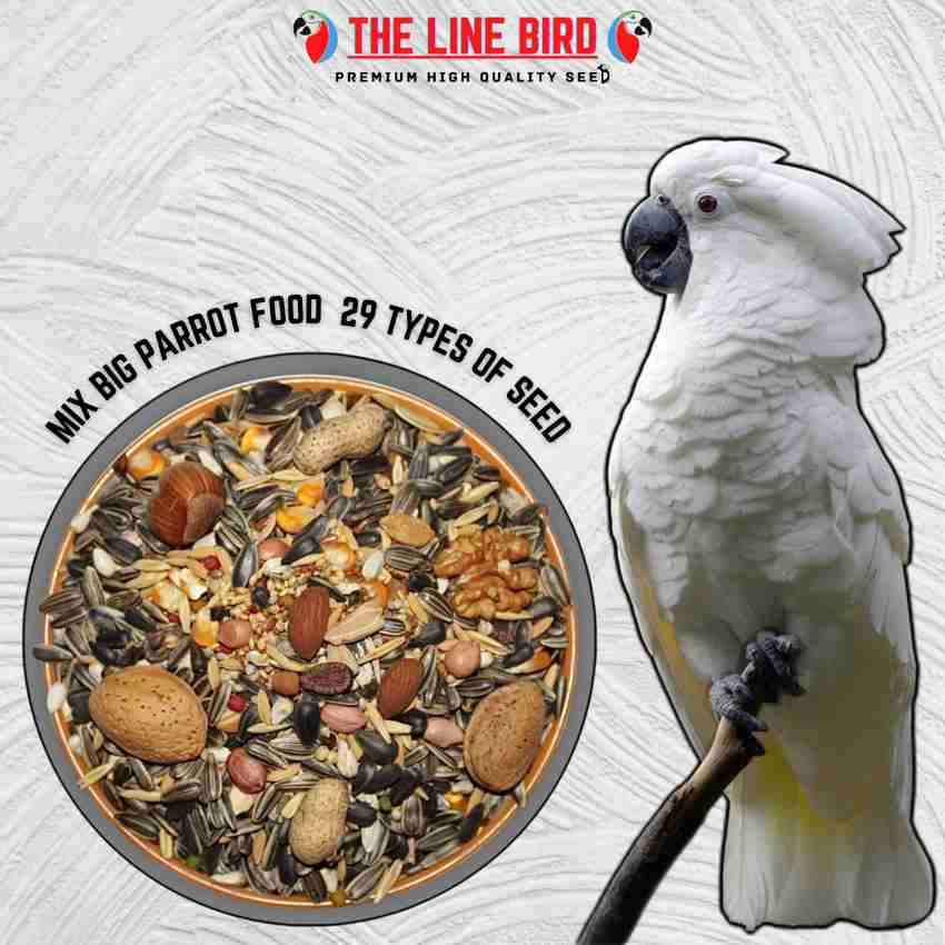 White hot sale parrot food