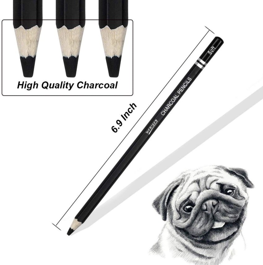 Anvis White Charcoal Pencil Set | Camlin Charcoal pencil Set | Black  Charcoal Powder for Drawing/Sketching