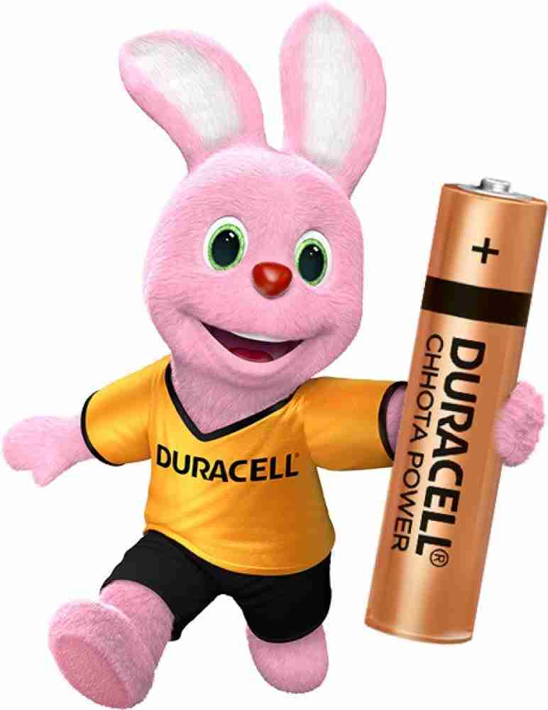 Buy Duracell AA Chota Power Batteries (Pack of 4) Online at Best