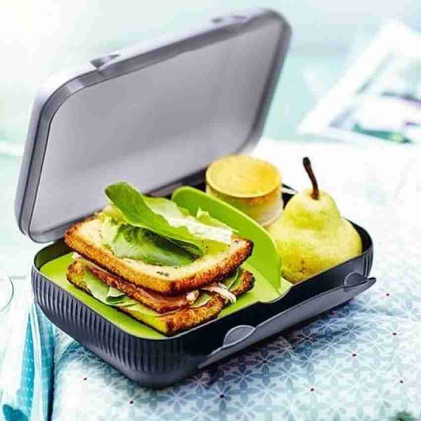 Tupperware Lunch Box