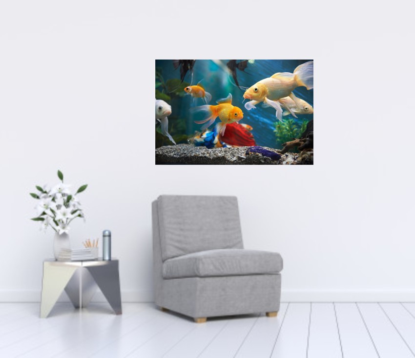 PRIME HOME DECOR 60.96 cm Under Water Beautiful Fish HD Wall