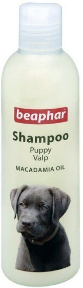 Beaphar Puppy Valp MACADAMIA OIL Puppy Dog Shampoo 250 Ml Pack of 1 Conditioning aroma Dog Shampoo Price in India Buy Beaphar Puppy Valp MACADAMIA OIL Puppy Dog Shampoo