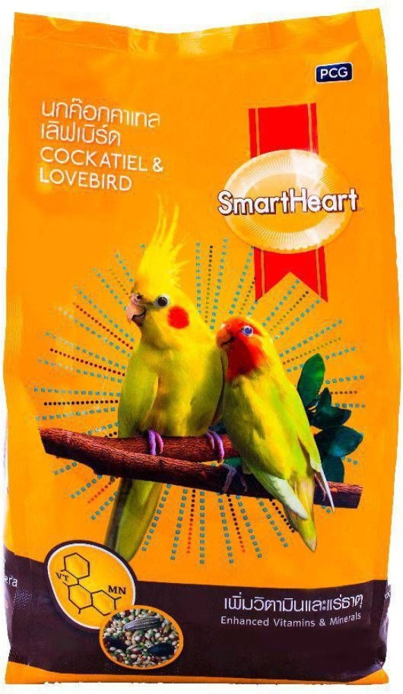 Cockatiel smart hot sale