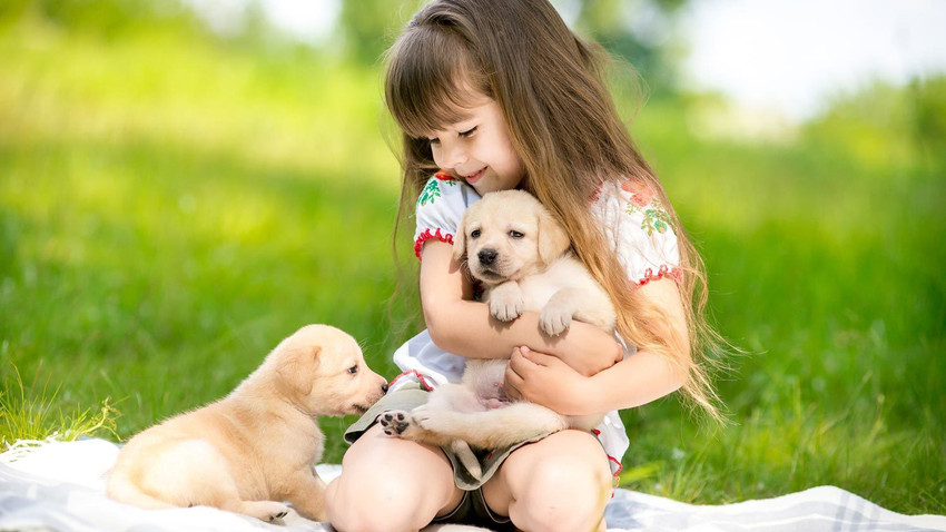 Adorable baby dog poster babies and puppies poster 07 Fine Art