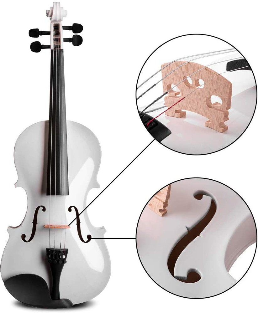 Violin clearance in flipkart