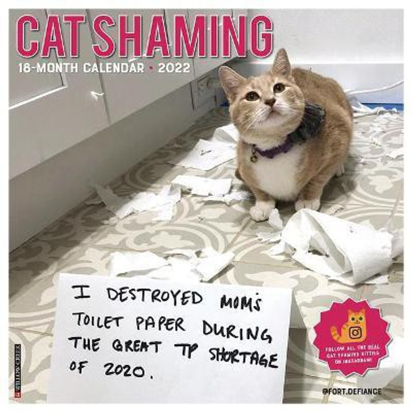 Cat Shaming