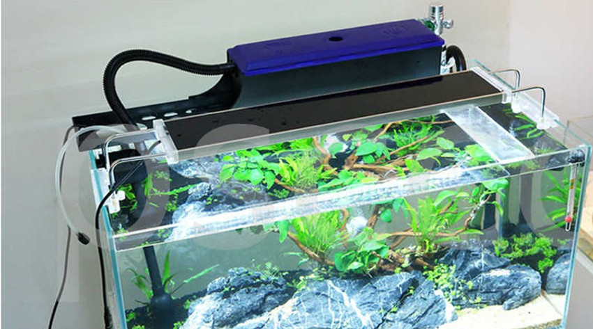Rs electrical aquarium hotsell filter