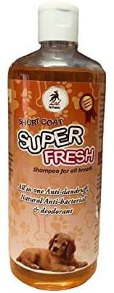Guinea pig top flea shampoo
