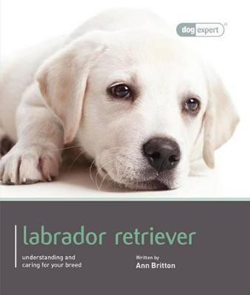 Dog for sale in flipkart 2025