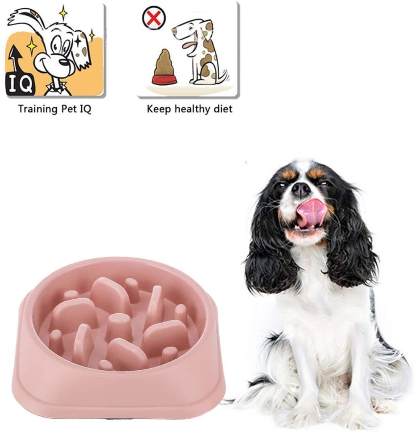 Dog Slow Feeder Bowl, Non Slip Puzzle Bowl - Anti-gulping Pet Slower Food  Feeding Dishes - Interactive Bloat Stop Dog Bo