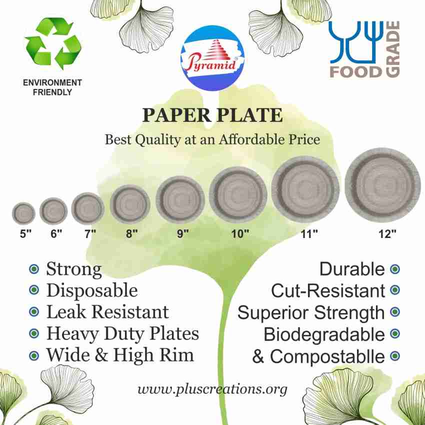 5 inch 2024 paper plates