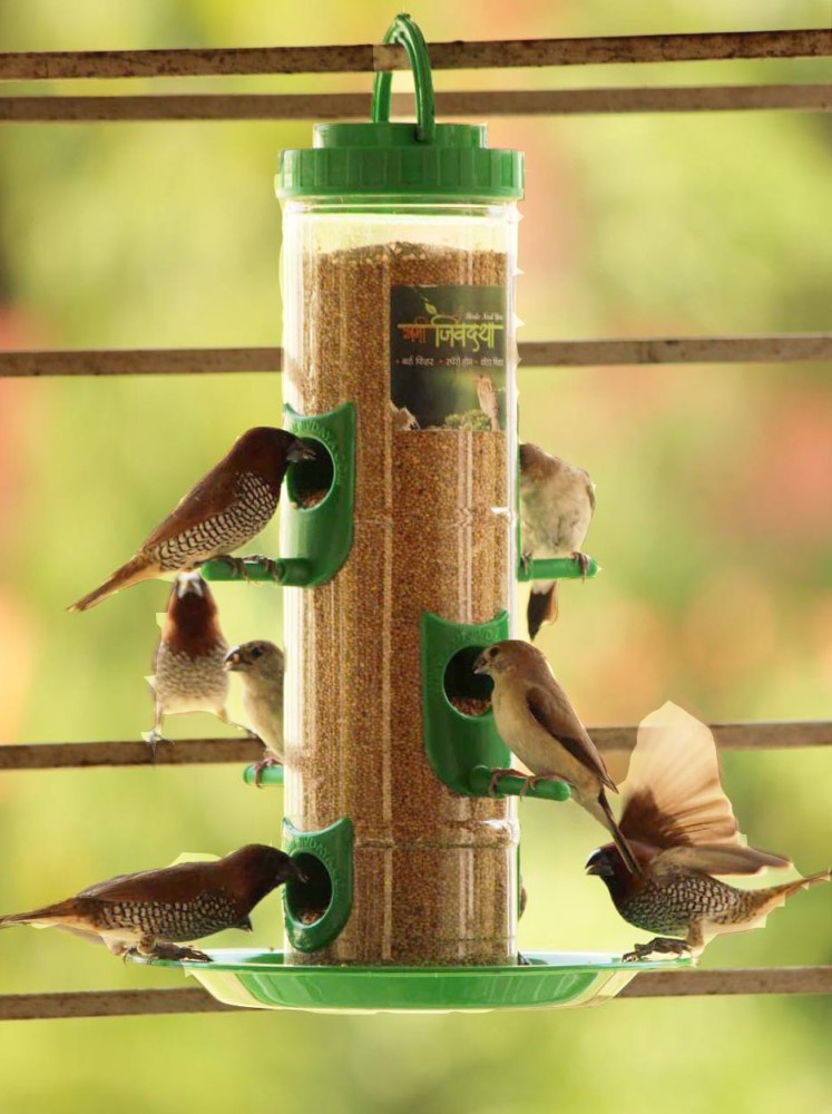 Large Bird Feeder with Hut & Water Feeder Combo