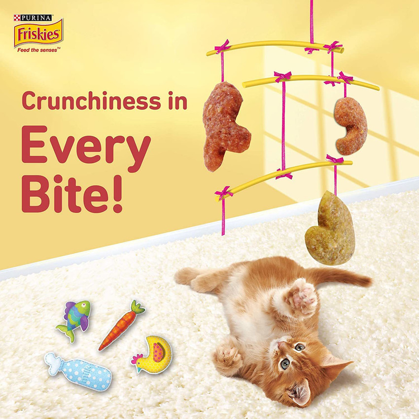 Purina Friskies Kitten Discoveries Baby Cat Food Tuna Chicken Milk Vegetables Whole Grain Flavours 1.2KG Tuna 2.2 kg 2x1.1 kg Dry New Born Young Cat Food Price in India Buy Purina