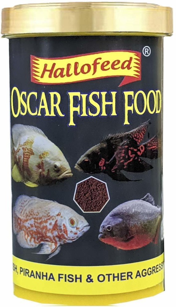 Oscar fish store price