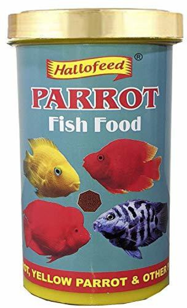 Parrot fish shop care in hindi