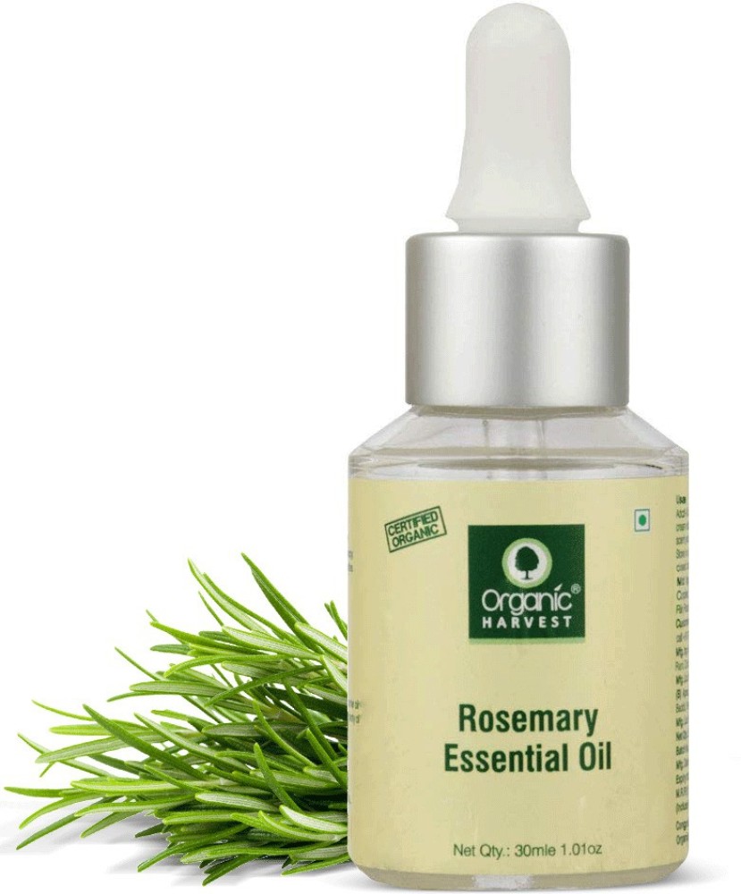 Price in India, Buy Organic Harvest Rosemary Essential Oil, Lighten Dark  Spots, Promotes Hair Growth, Pure & Undiluted Therapeutic Grade Oil,  Excellent for Aromatherapy,100% Organic, Paraben & Sulphate Free Online In  India, Reviews, Ratings