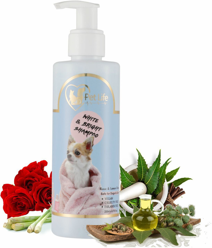 Shampoo for white hair on sale dogs