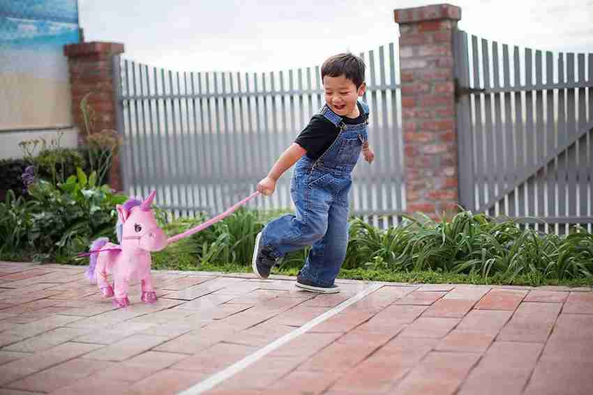 Unicorn on a leash toy discount