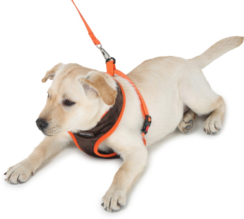 Barks Wags VHL 01 M Dog Harness Leash Price in India Buy Barks Wags VHL 01 M Dog Harness Leash online at Flipkart