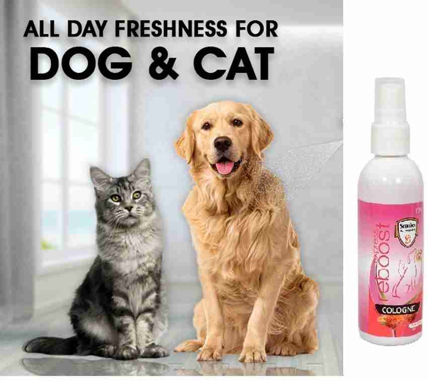 Cat cologne on sale spray