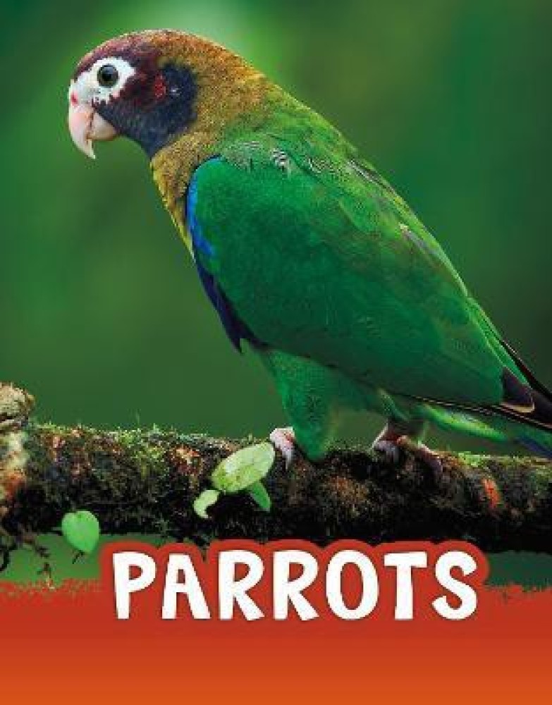 Green parrot shop online shopping