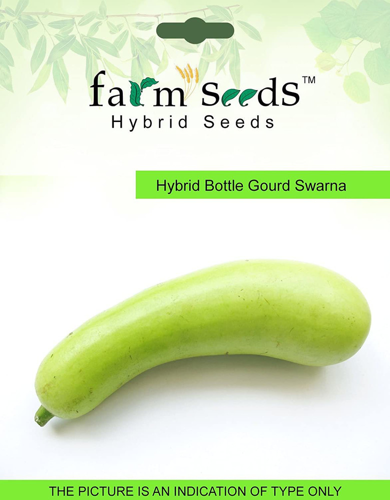 Qualtivate Hybrid Bottle Gourd Swarna 1 Packet Seeds Seed Price in India Buy Qualtivate Hybrid Bottle Gourd Swarna 1 Packet Seeds Seed online at Flipkart
