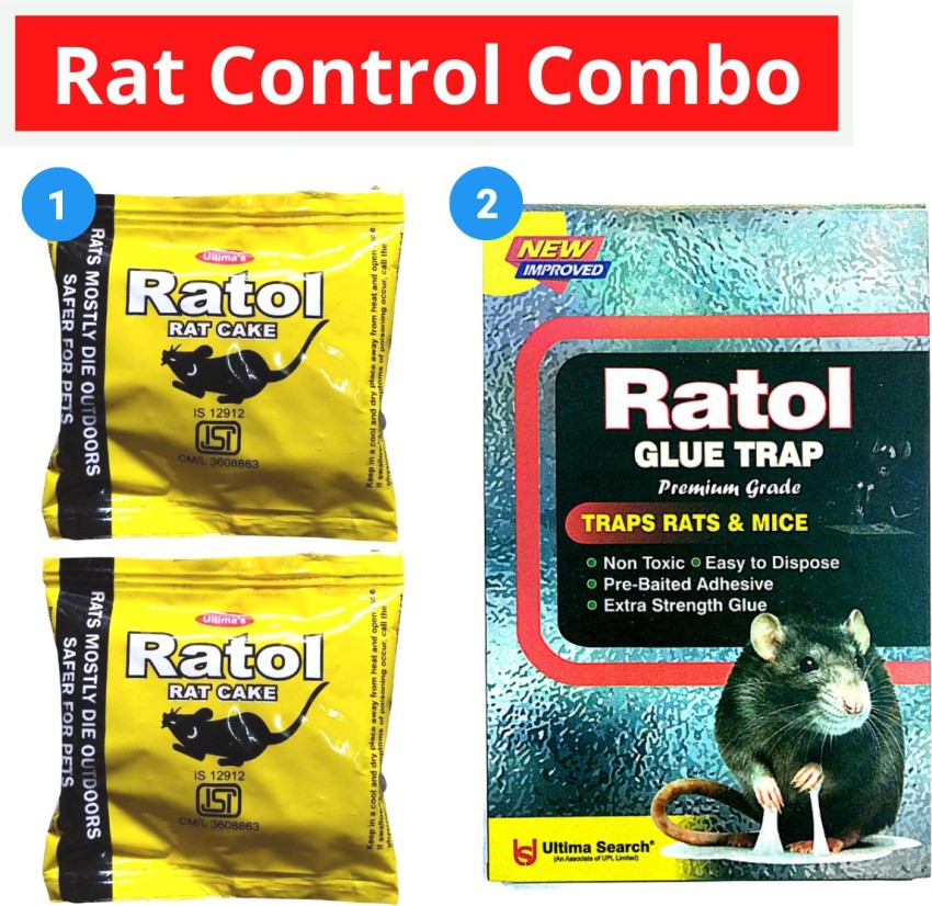 Rat poisoning management | PPT