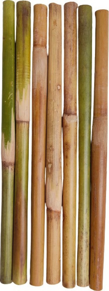 GIFTI SKY Natural Bamboo Sticks with Hole,Size-15-16 Inchs