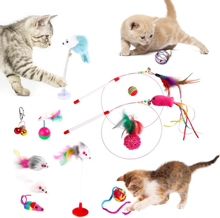 Futurekart Pack of 13 Cat Toys for Kittens?Feather Cat Playing Toys?Plush  Mouse Spring Mouse Colored Ball Toys for Cat (Random Color) Cotton Ball,  Plush Toy, Chew Toy, Squeaky Toy For Cat Price