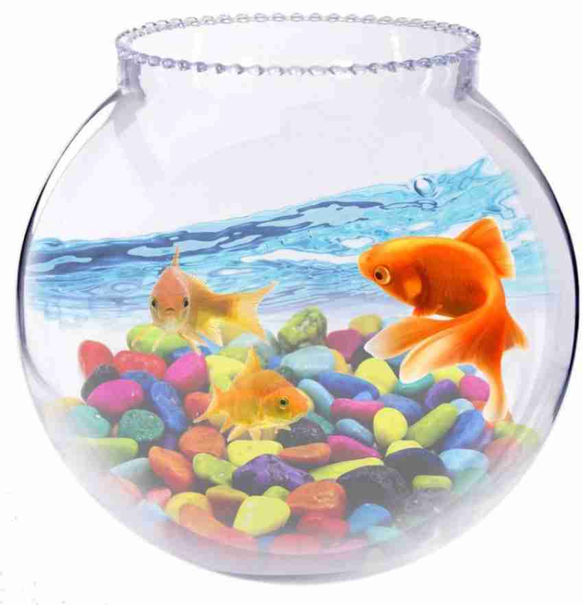 SAVORADE Wall Mount Acrylic Fish Aquarium Bowl Tank for Small Betta Fish &  Plants- Clear Round Ends Aquarium Tank