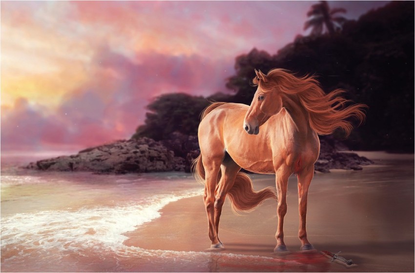Horse Live, seven horses HD wallpaper | Pxfuel