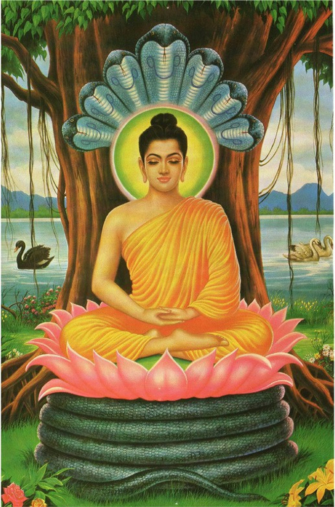 Meditating Gautam Buddha Poster Paper Print Religious posters in