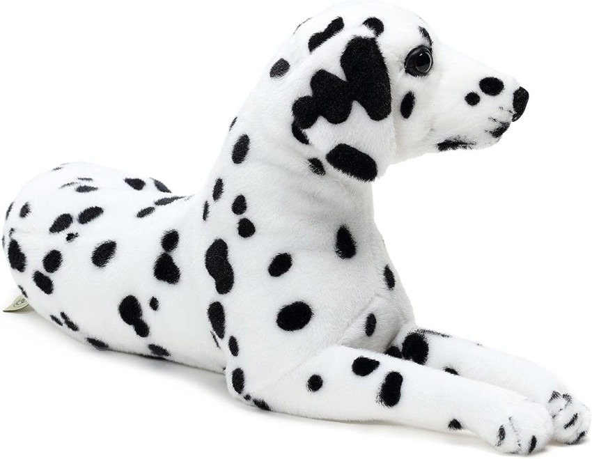 Dalmatian teddy deals