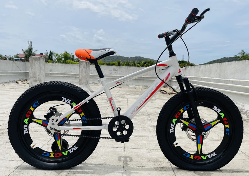 Wild bikes on sale 20 inch