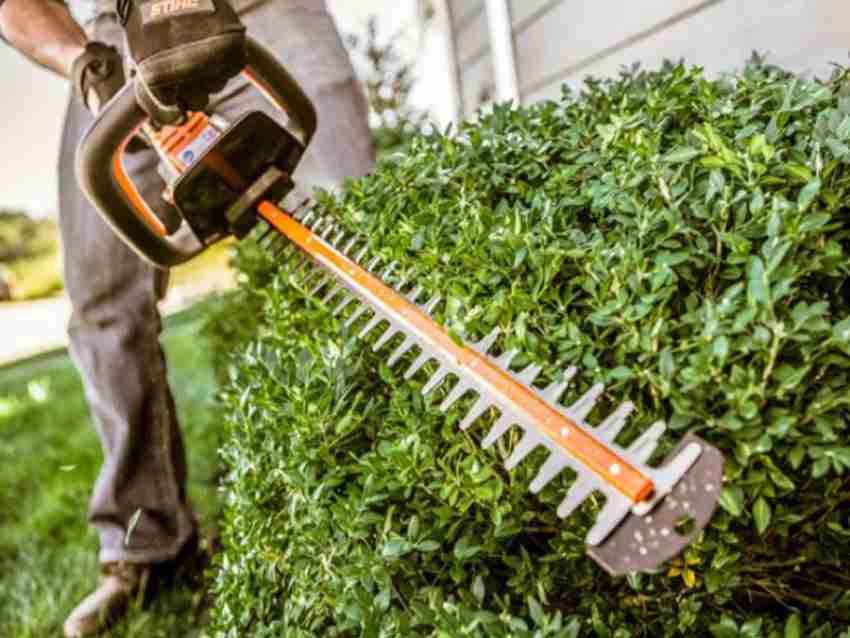 Stihl shrub online trimmer