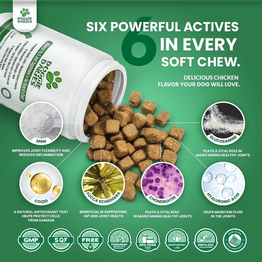 Doggie dailies glucosamine for dogs hotsell