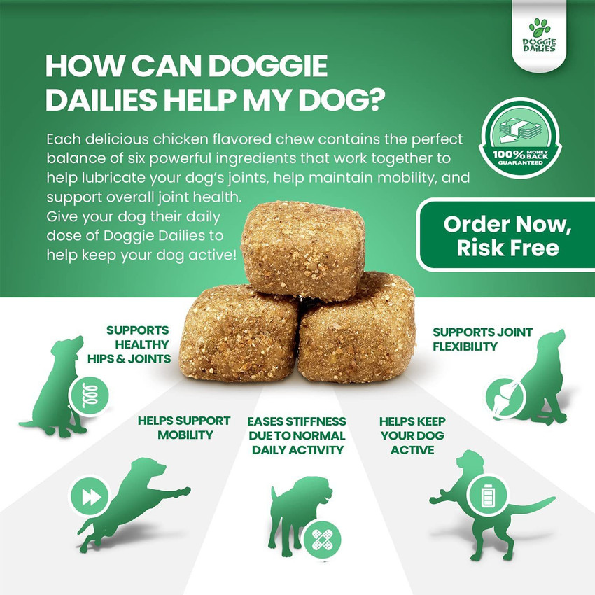 Doggie dailies discount joint supplement