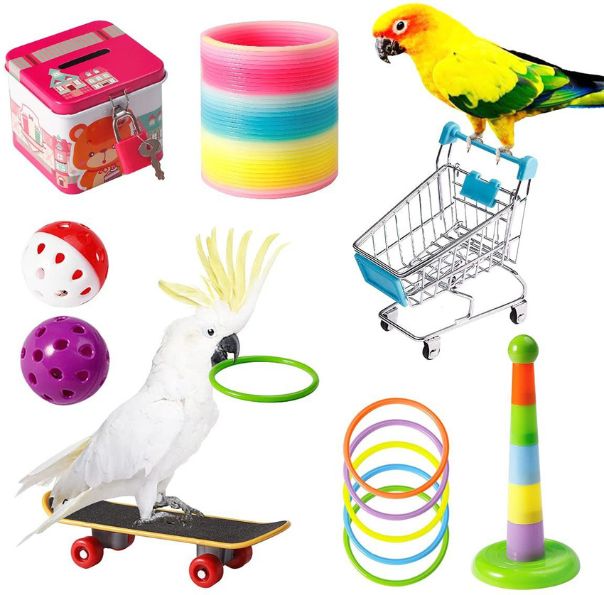 REHTRAD Plastic Tough Toy For Bird Price in India Buy REHTRAD