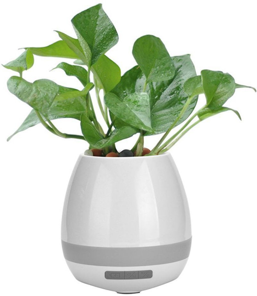 Flower pot bluetooth speaker hotsell