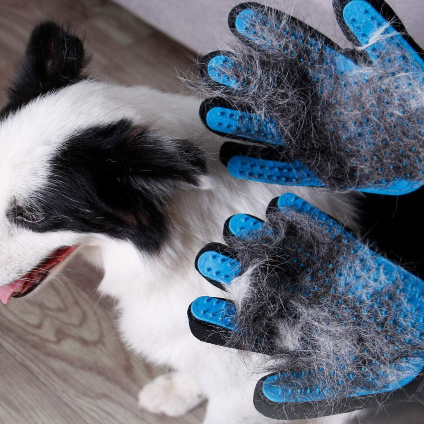 Hachiko Dog Grooming Gloves Cleaning Hair Brush Comb Animal
